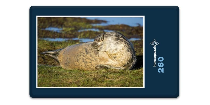 16854 Tierwelt - Flosse vor Augen Puzzle
