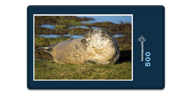 16854 Tierwelt - Flosse vor Augen Puzzle