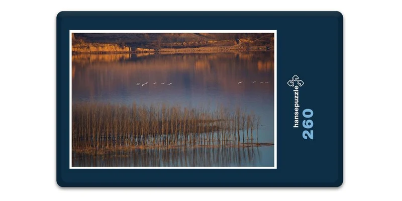 16849 Natur - Gelber Fluss Puzzle