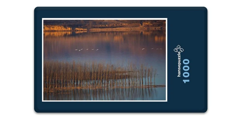 16849 Natur - Gelber Fluss Puzzle