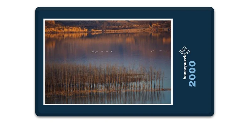 16849 Natur - Gelber Fluss Puzzle