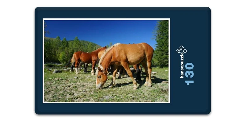 16844 Tierwelt - Pferde auf Koppel Puzzle