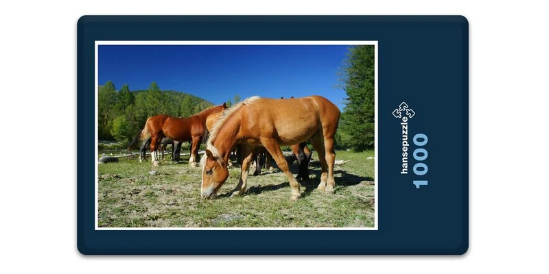 16844 Tierwelt - Pferde auf Koppel Puzzle