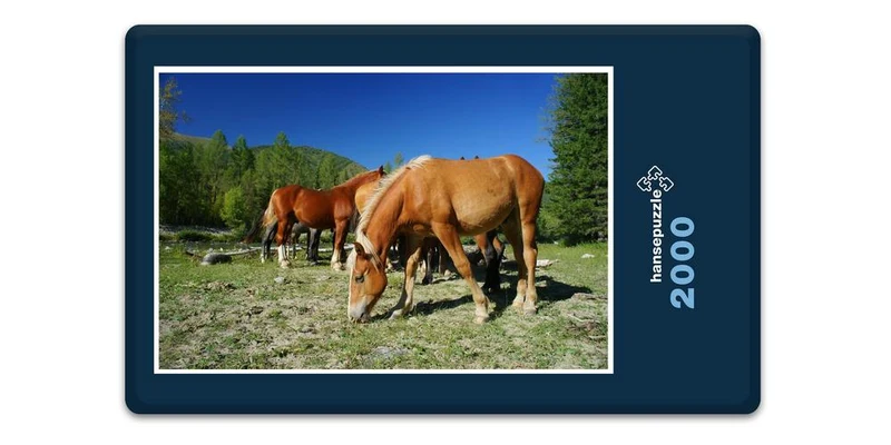 16844 Tierwelt - Pferde auf Koppel Puzzle