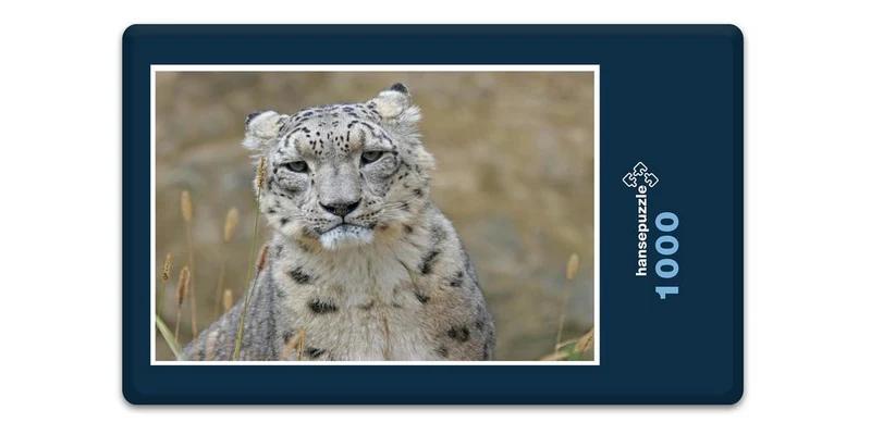 16839 Tierwelt - Schnee-Leopard Puzzle