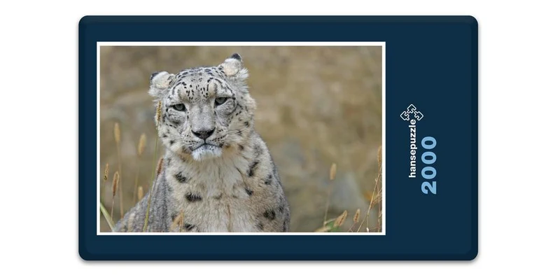 16839 Tierwelt - Schnee-Leopard Puzzle