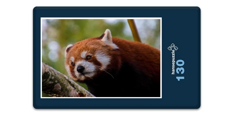 16834 Tierwelt - Roter Panda Puzzle