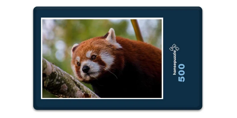 16834 Tierwelt - Roter Panda Puzzle