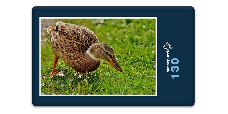16829 Tierwelt - Ente auf Wiese Puzzle
