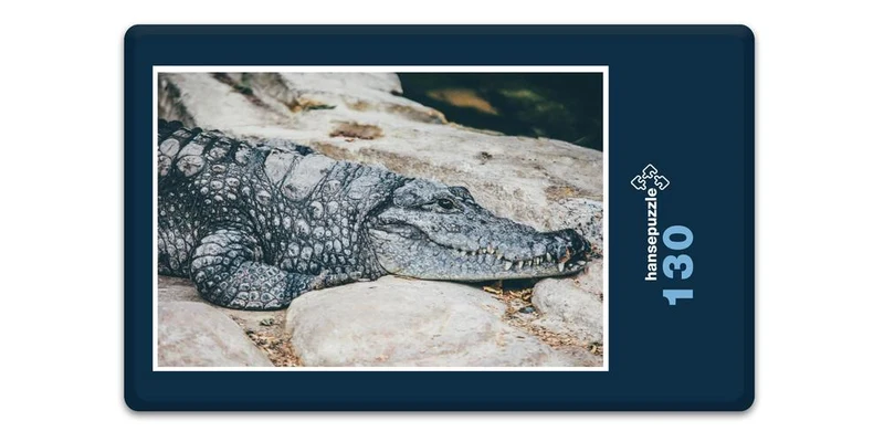 16824 Tierwelt - Krokodil Puzzle
