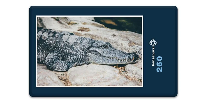16824 Tierwelt - Krokodil Puzzle
