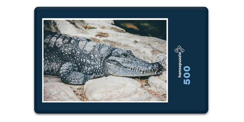 16824 Tierwelt - Krokodil Puzzle