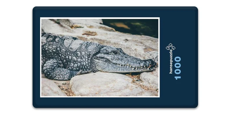 16824 Tierwelt - Krokodil Puzzle