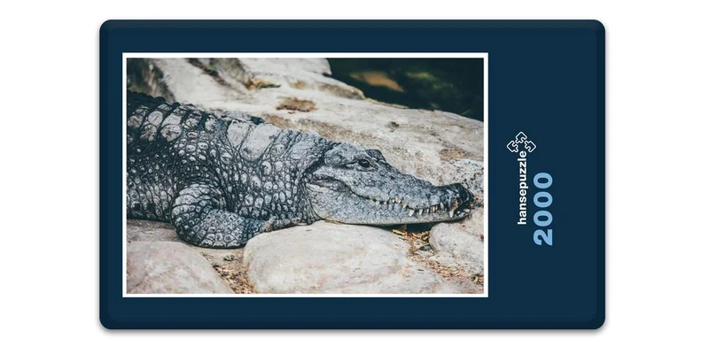 16824 Tierwelt - Krokodil Puzzle