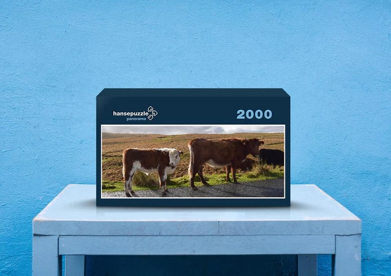 29638 Tierwelt - Kühe auf der Weide Puzzle