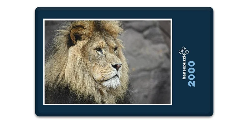 16702 Tierwelt - König der Tiere Puzzle