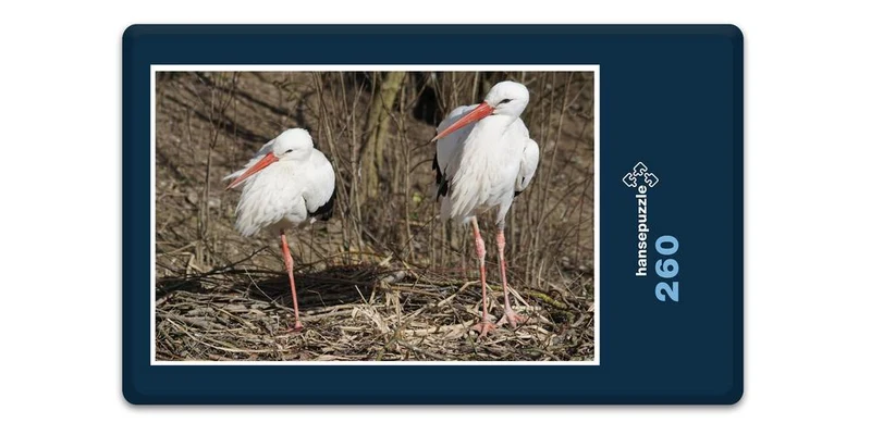 16697 Tierwelt - Storch-Familie Puzzle