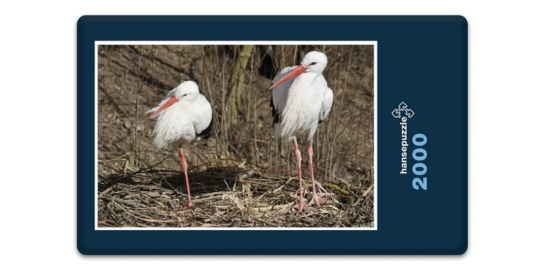 16697 Tierwelt - Storch-Familie Puzzle
