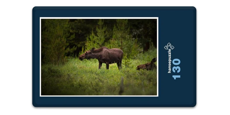 16692 Tierwelt - Elch in Wildnis Puzzle