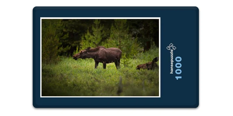16692 Tierwelt - Elch in Wildnis Puzzle
