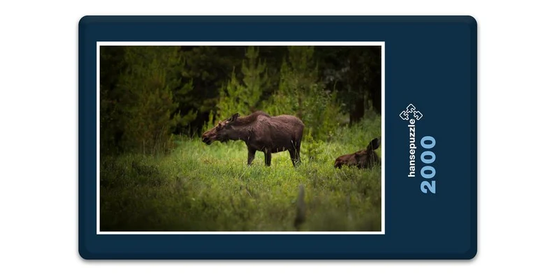 16692 Tierwelt - Elch in Wildnis Puzzle