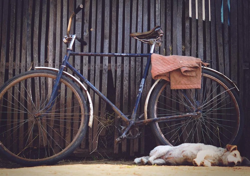 30845 Tierwelt - Hund und Fahrrad Puzzle