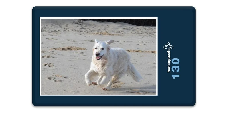 18851 Tierwelt - Toben am Strand Puzzle