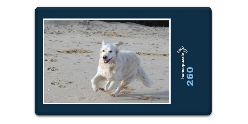 18851 Tierwelt - Toben am Strand Puzzle