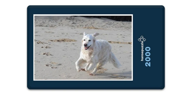 18851 Tierwelt - Toben am Strand Puzzle