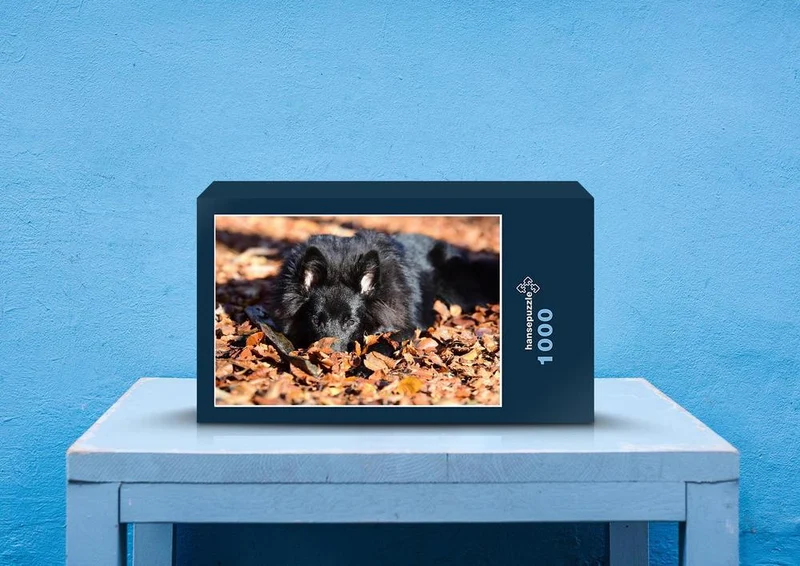 30840 Tierwelt - Hund im Laub Puzzle