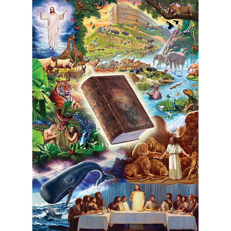 The Holy Bible, Steve Crisp (Book Box)