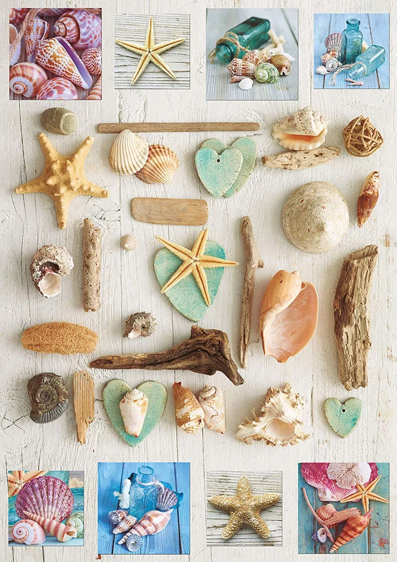 Seashells Collage, Howard Shooter