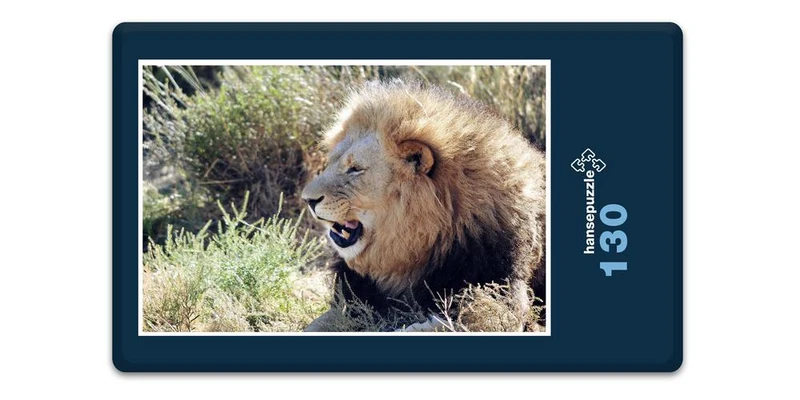 16904 Tierwelt - Löwe im Busch Puzzle