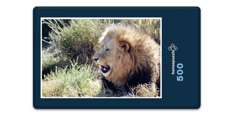 16904 Tierwelt - Löwe im Busch Puzzle