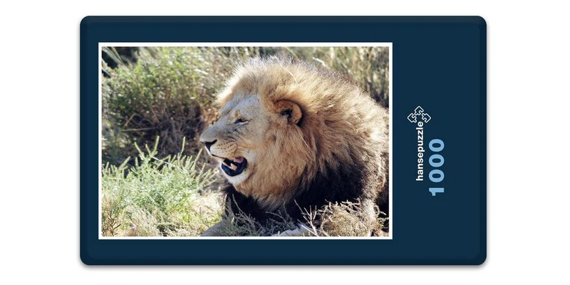 16904 Tierwelt - Löwe im Busch Puzzle