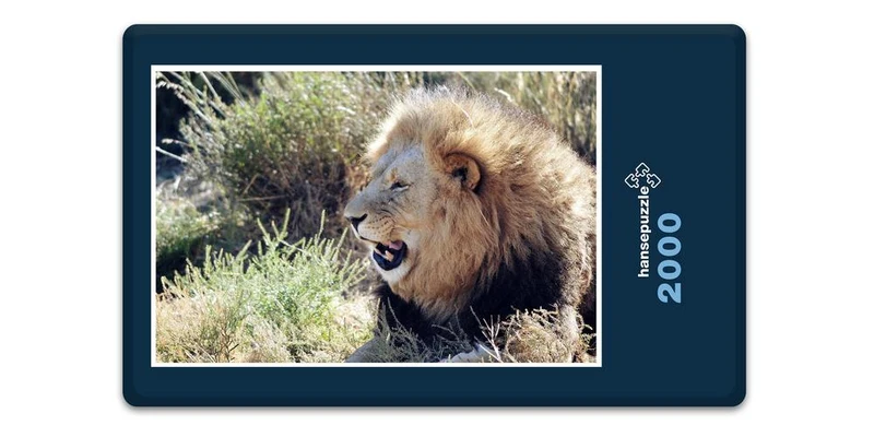 16904 Tierwelt - Löwe im Busch Puzzle