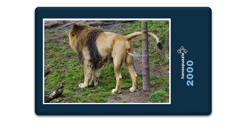 16899 Tierwelt - Löwen-Toilette Puzzle