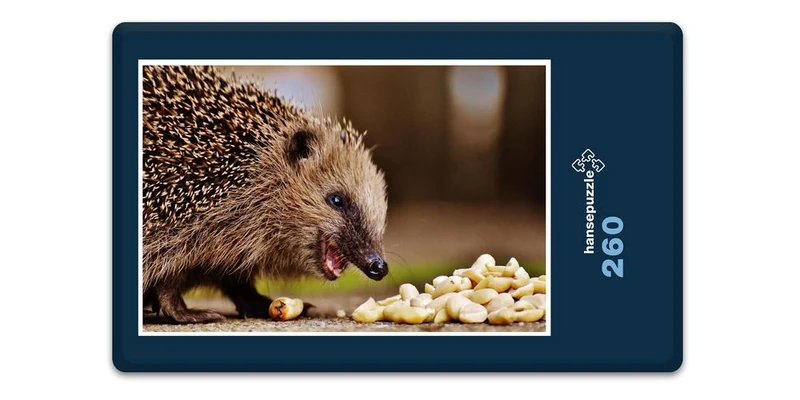 16819 Tierwelt - hungriger Igel Puzzle