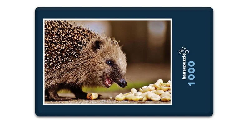 16819 Tierwelt - hungriger Igel Puzzle