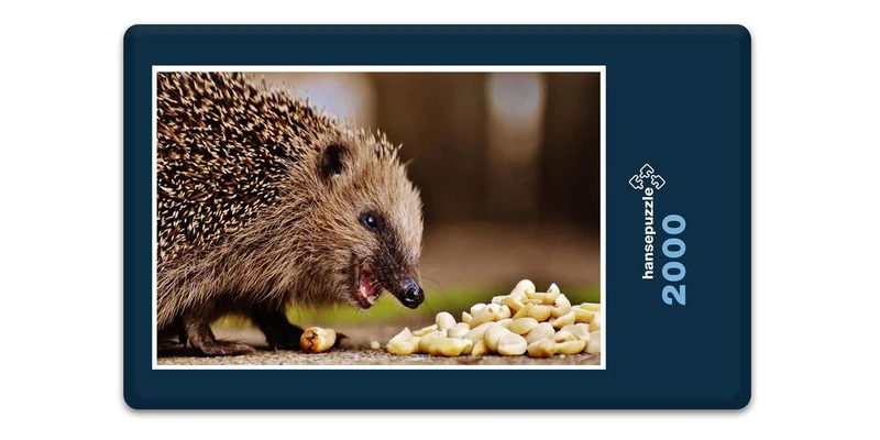 16819 Tierwelt - hungriger Igel Puzzle
