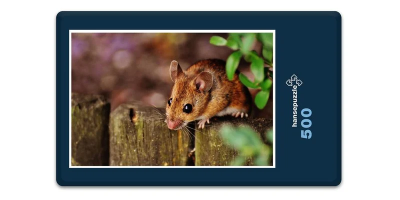 16687 Tierwelt - Kleiner Nager Puzzle