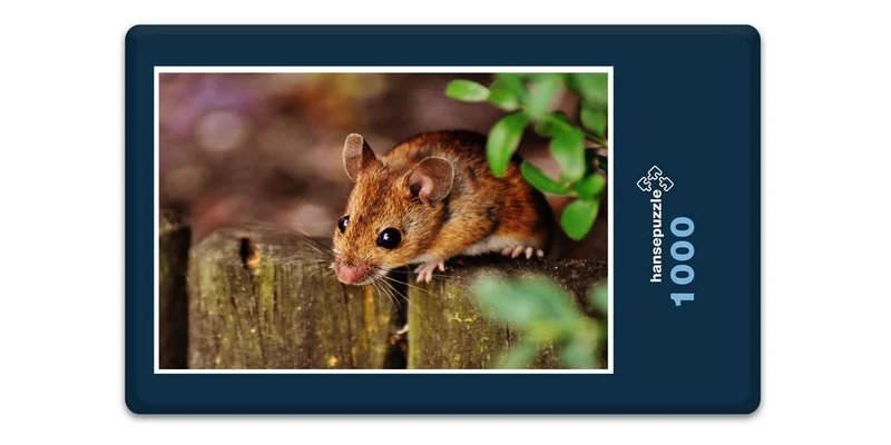 16687 Tierwelt - Kleiner Nager Puzzle