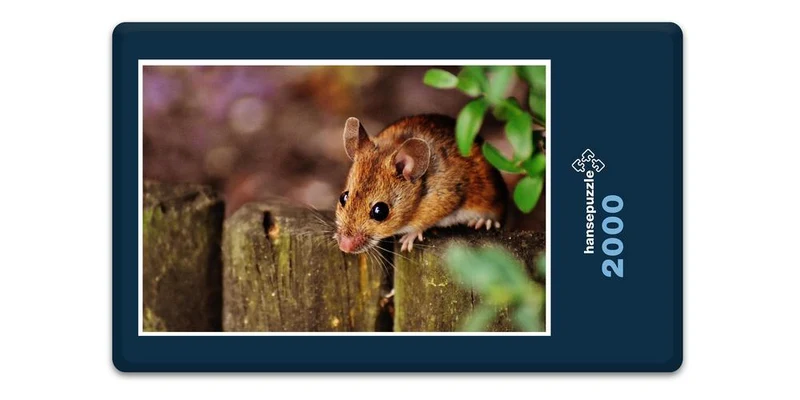 16687 Tierwelt - Kleiner Nager Puzzle