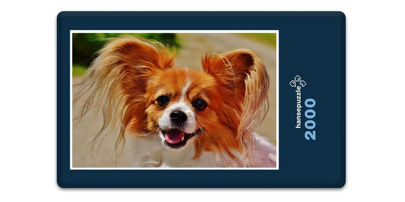 18841 Tierwelt - Chihuahua Puzzle