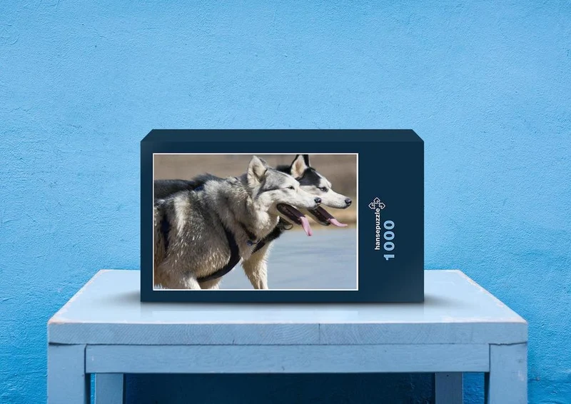 29683 Tierwelt - Husky Puzzle
