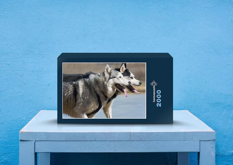 29683 Tierwelt - Husky Puzzle