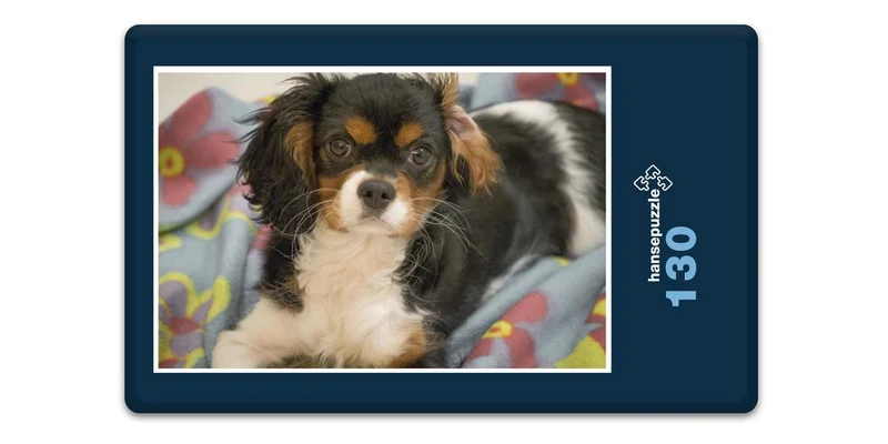 18836 Tierwelt - Hund Puzzle