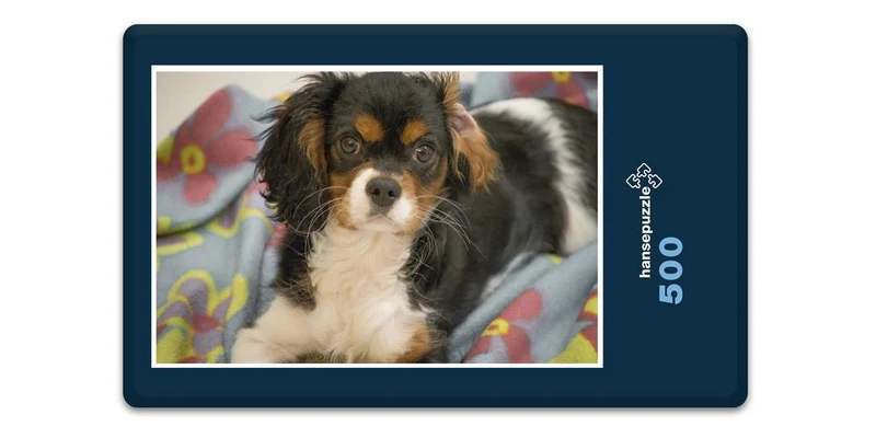 18836 Tierwelt - Hund Puzzle