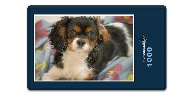 18836 Tierwelt - Hund Puzzle