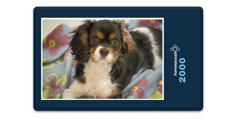 18836 Tierwelt - Hund Puzzle